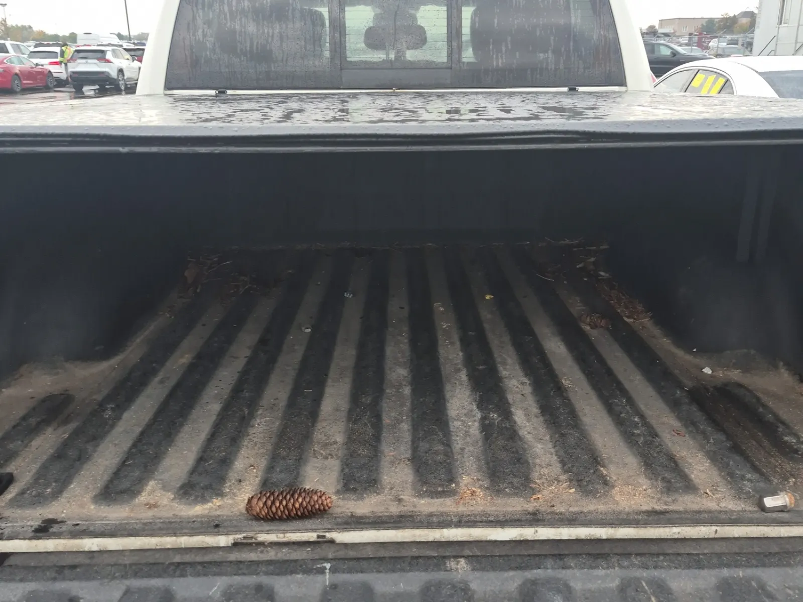 Cargo Area Photo
