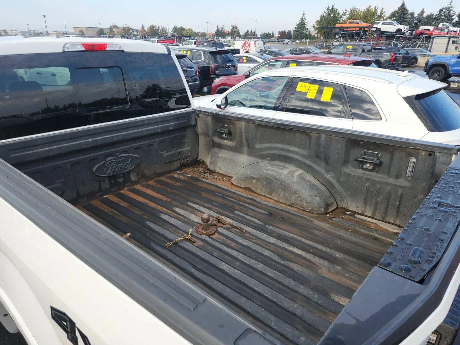 Cargo Area Photo