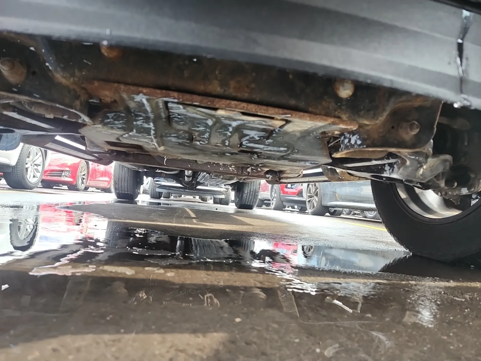 Undercarriage - Front Photo