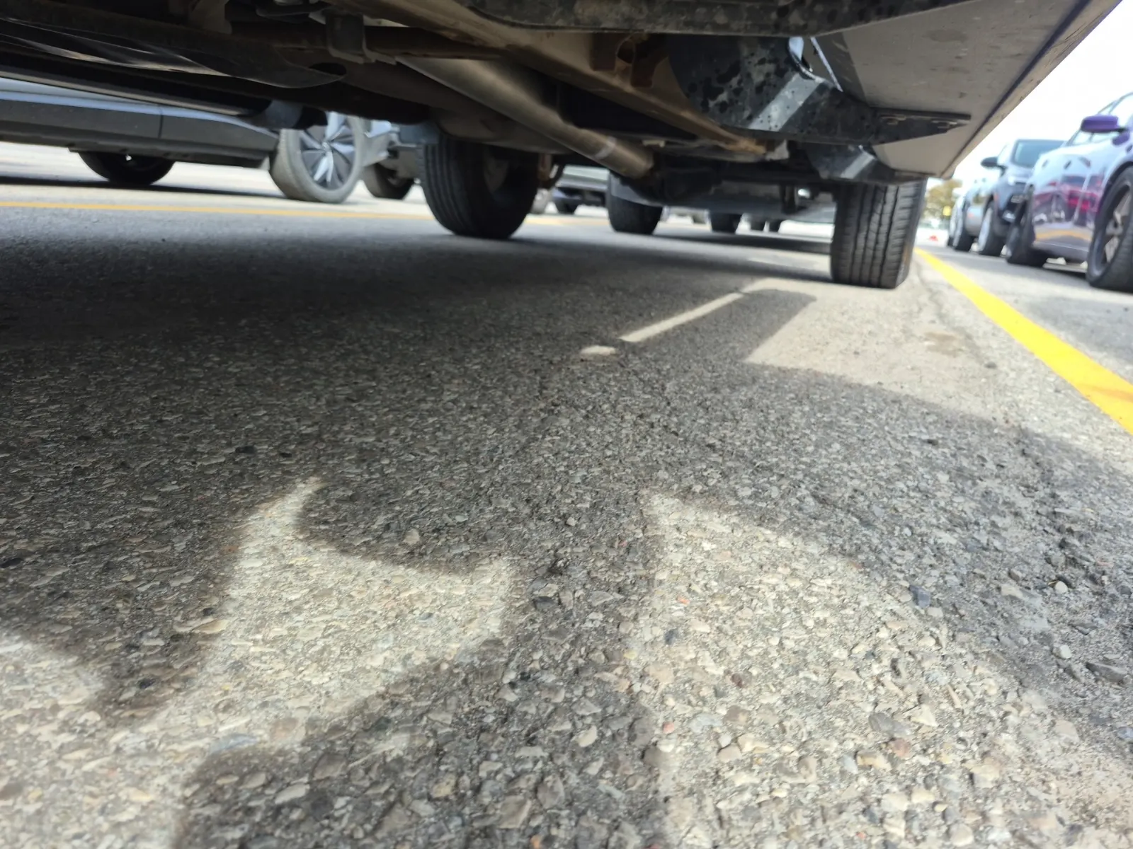 Undercarriage - Driver Photo