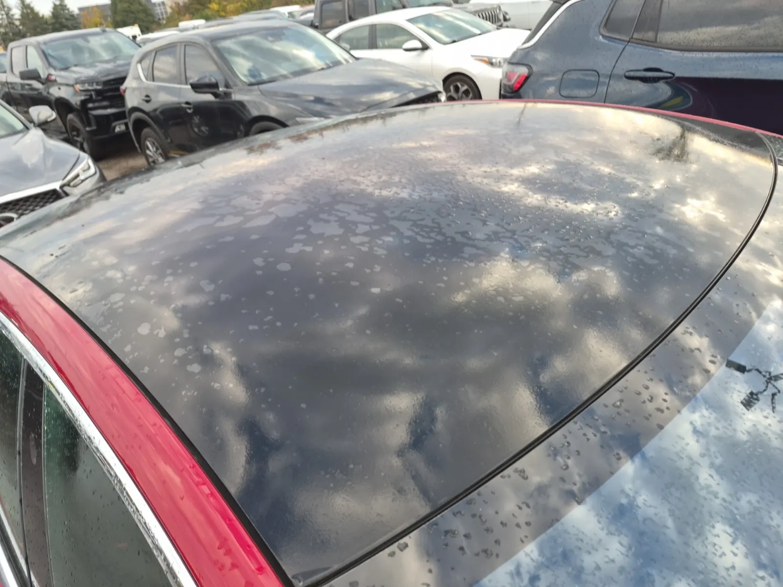 Exterior Roof Photo