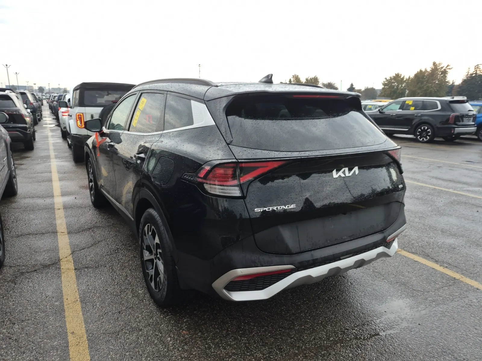 Driver Rear 3/4 Photo