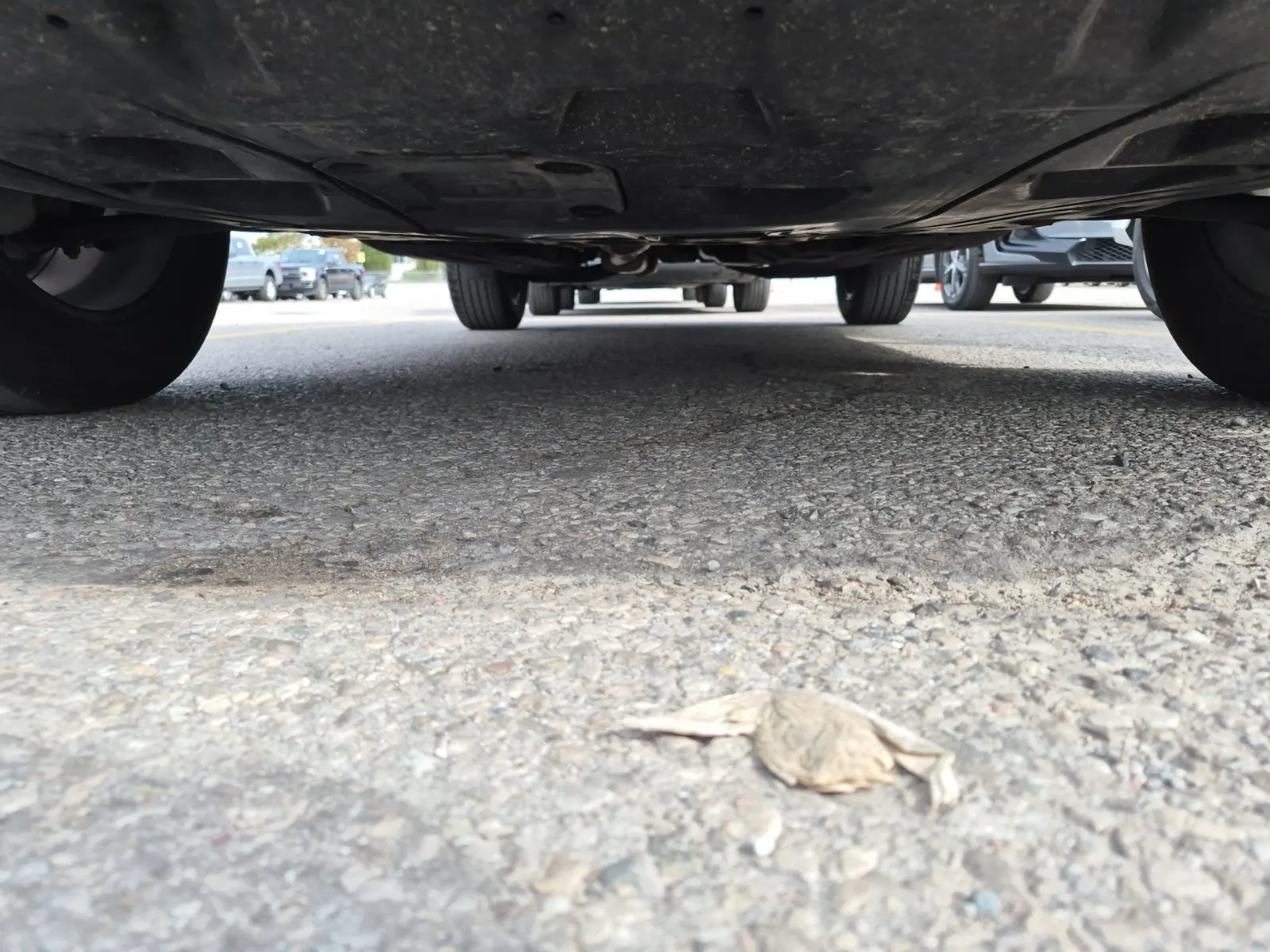 Undercarriage - Front Photo