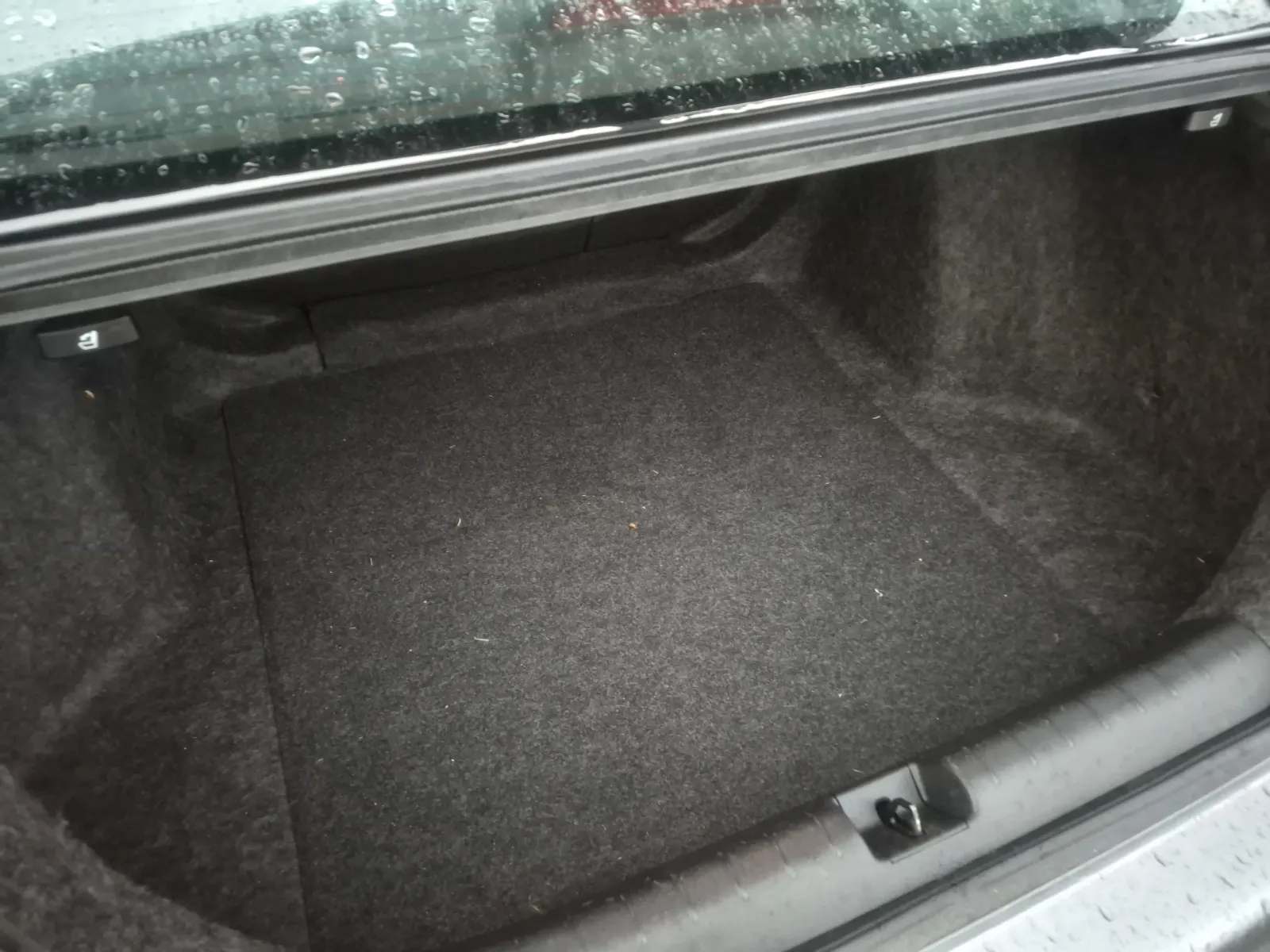 Cargo Area Photo