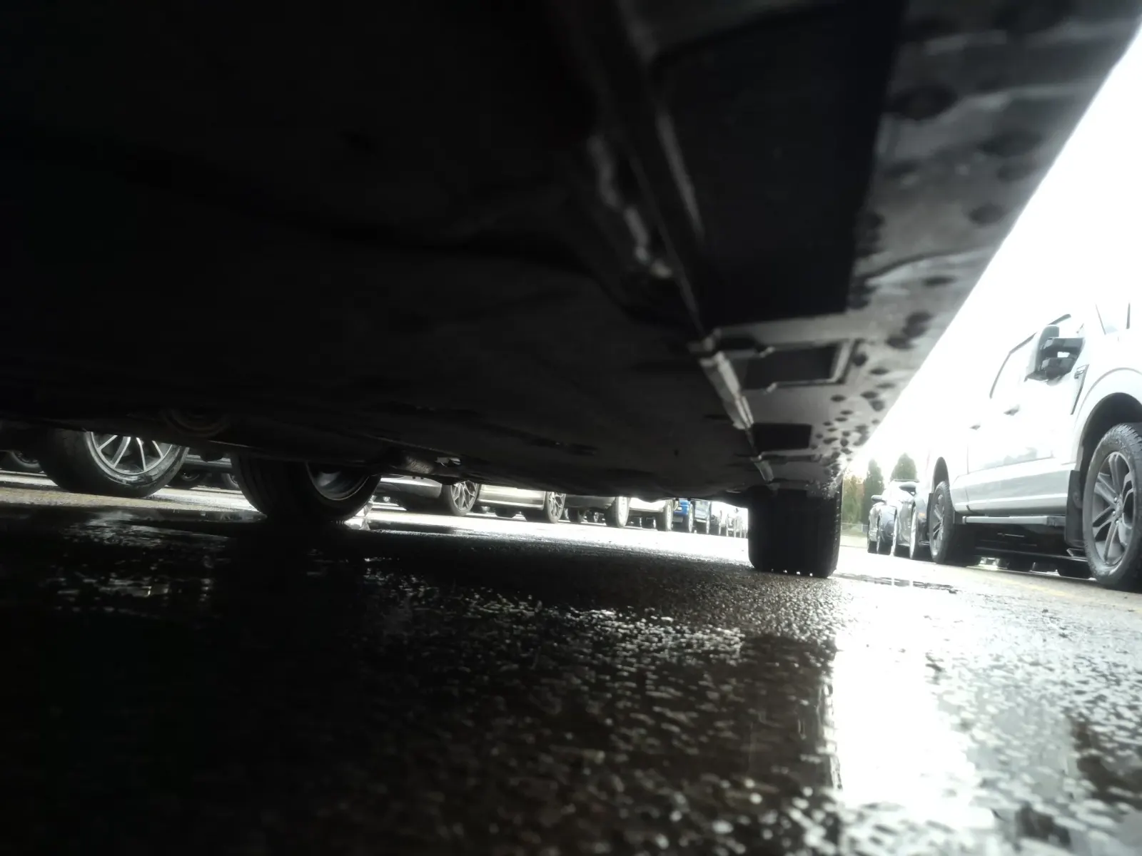 Undercarriage - Driver Photo
