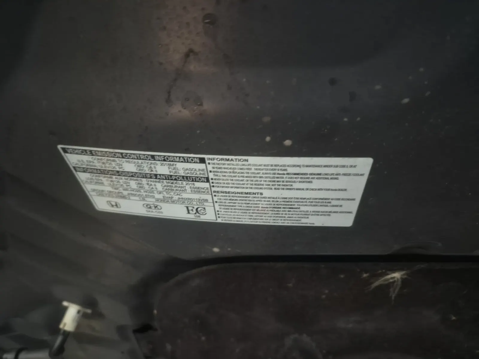 Emission Sticker Photo