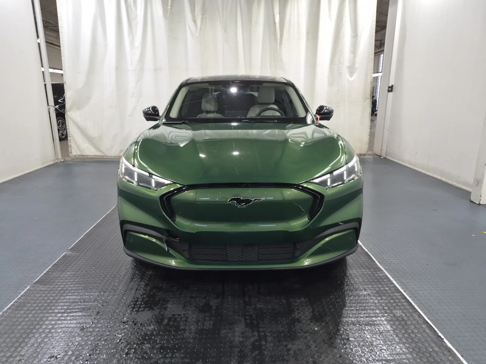 Full Front Photo