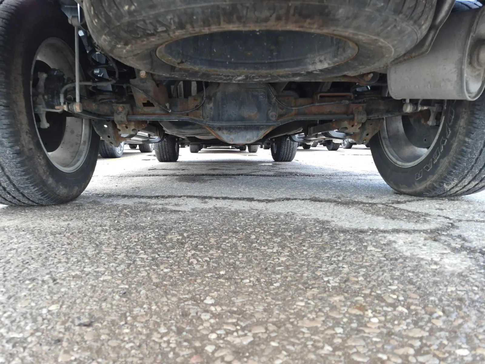 Undercarriage - Rear Photo