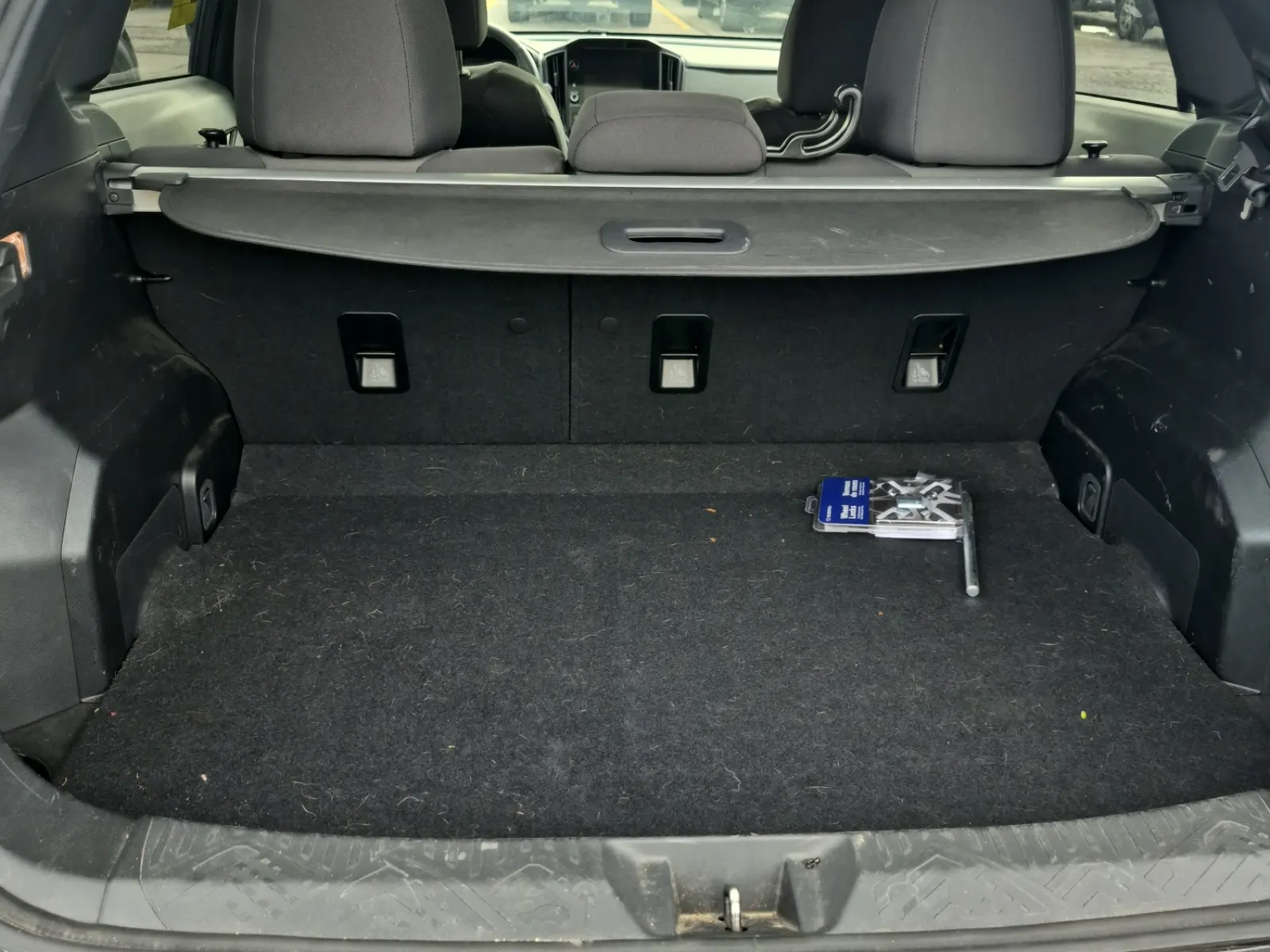 Cargo Area Photo