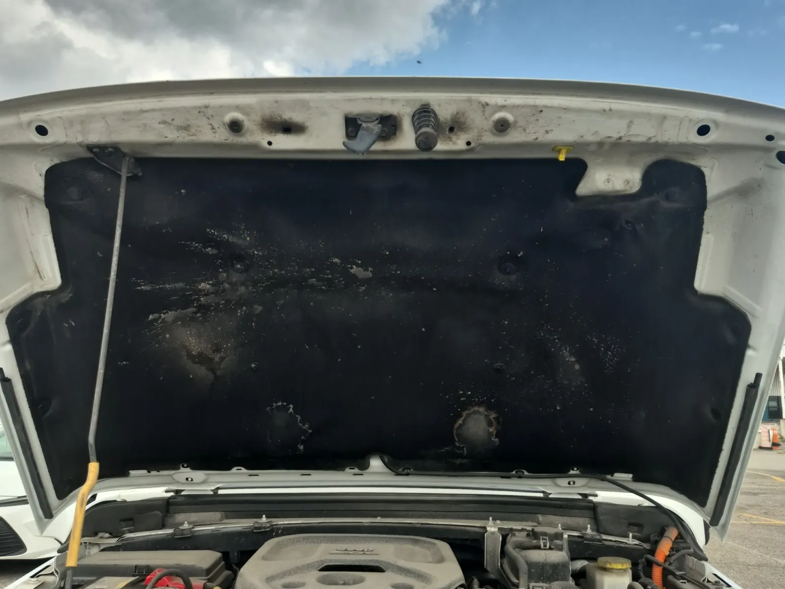 Emission Sticker Photo
