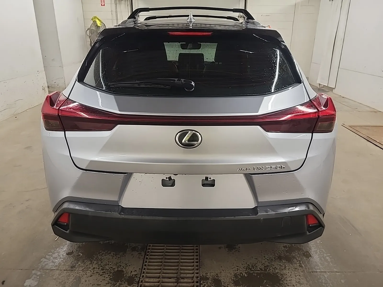 Full Rear Photo
