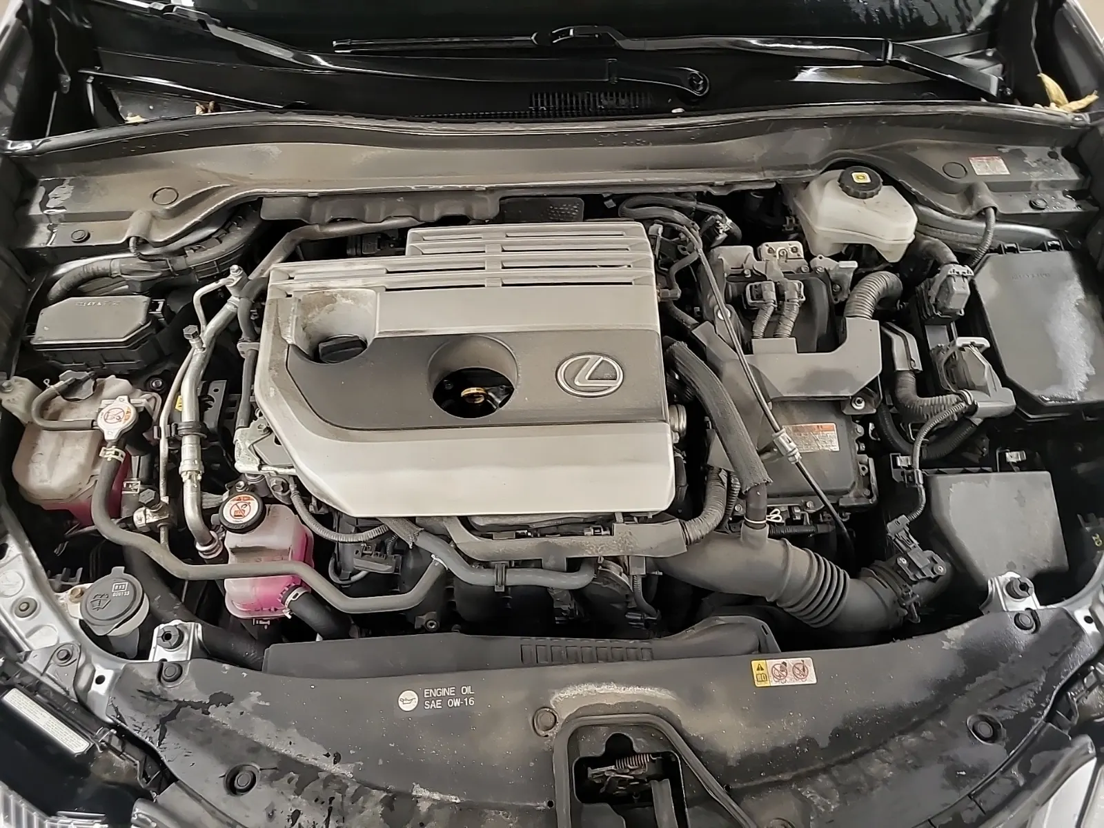 Engine Photo