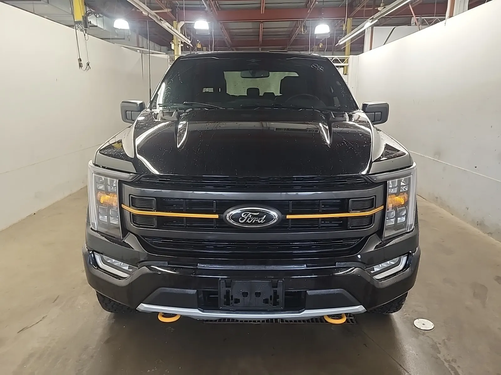 Full Front Photo