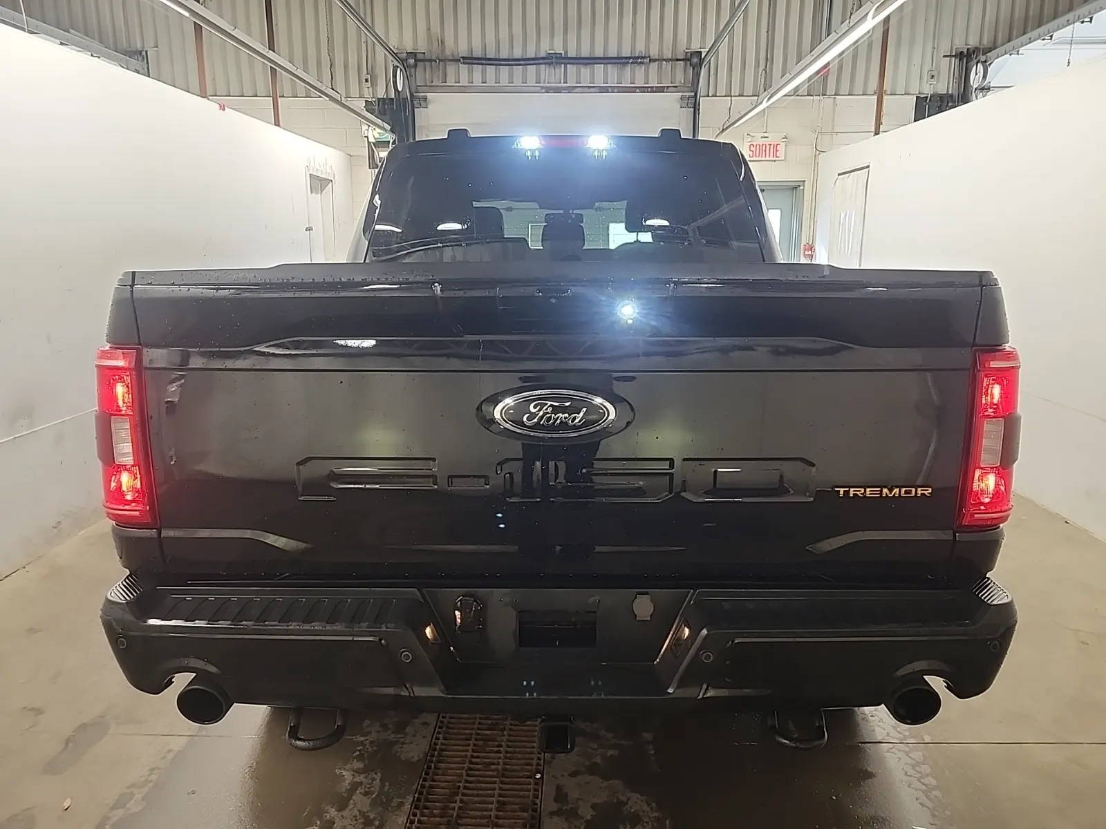 Full Rear Photo