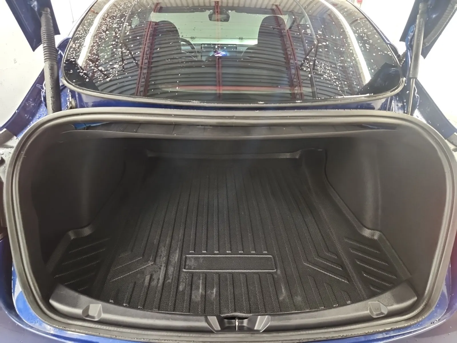Cargo Area Photo