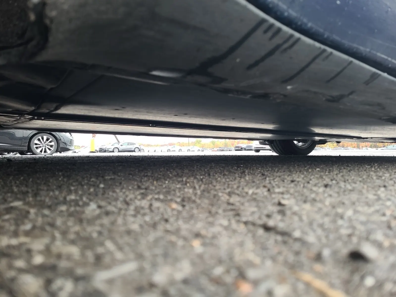 Undercarriage - Passenger Photo