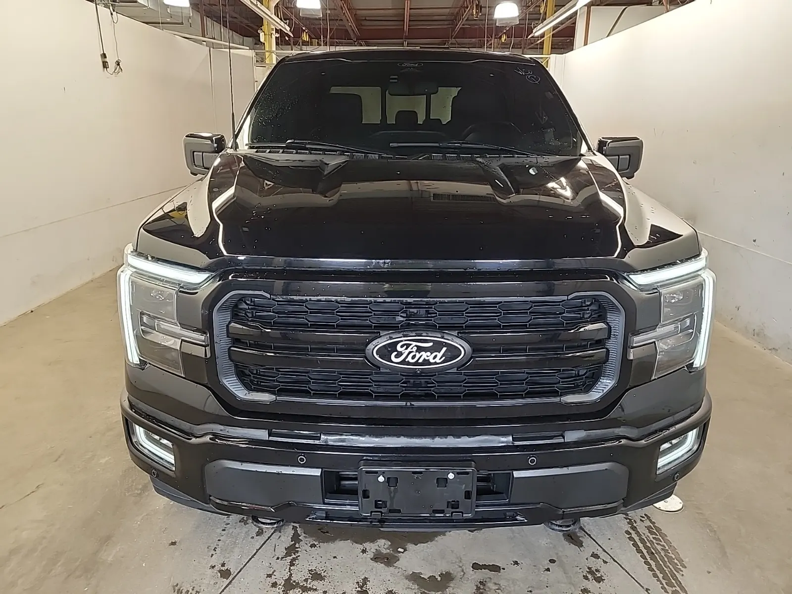 Full Front Photo