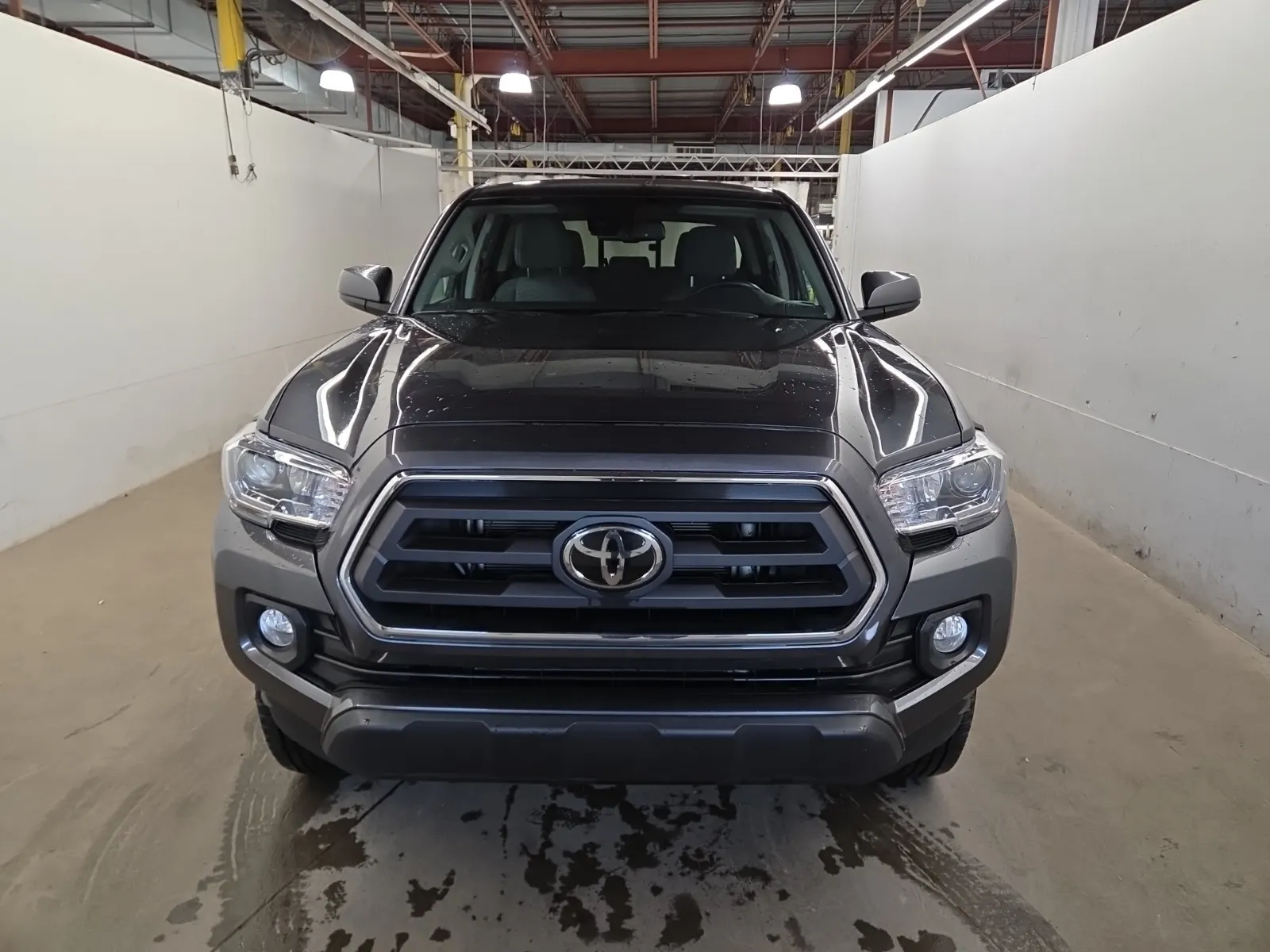 Full Front Photo
