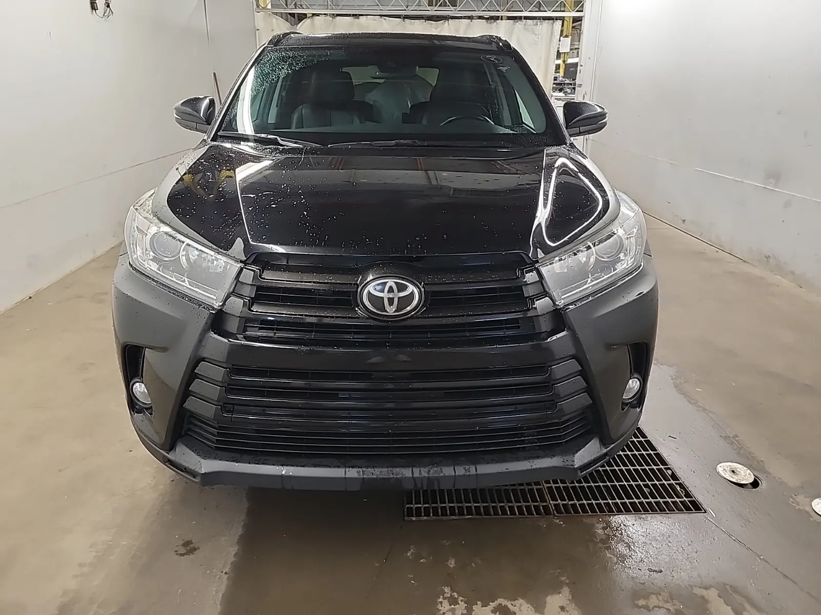Full Front Photo