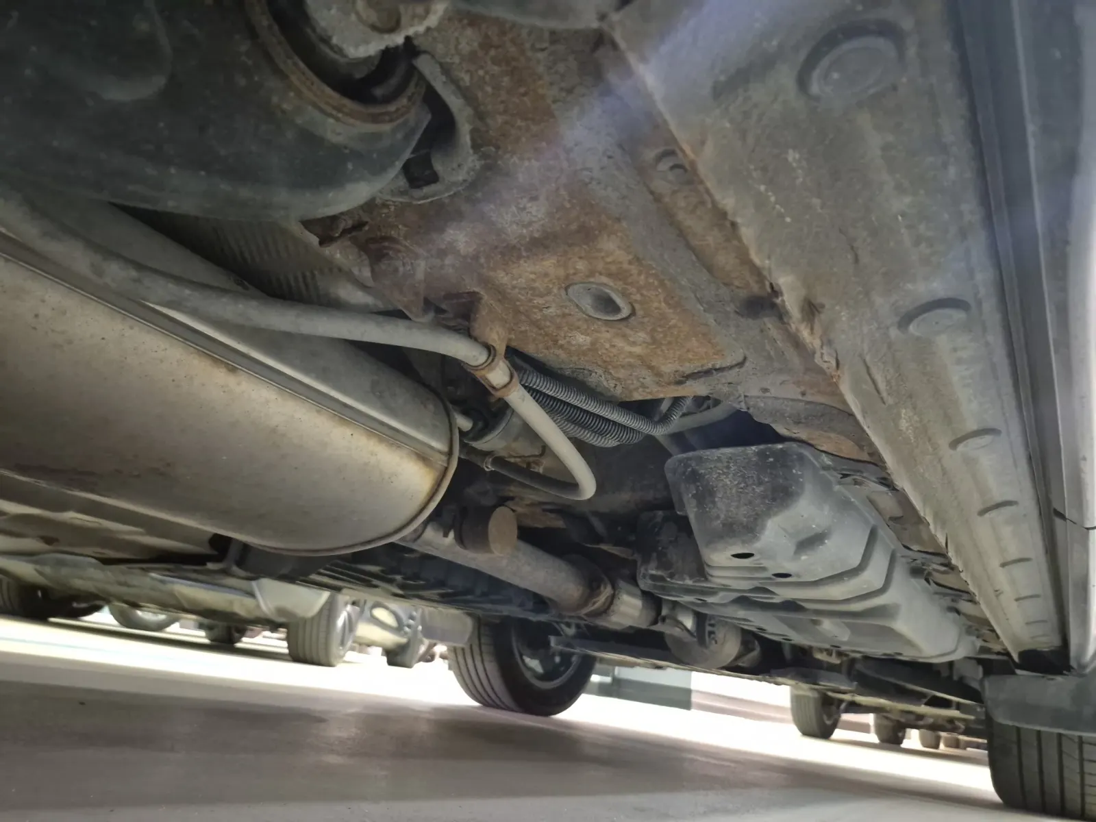 Undercarriage - Passenger Photo