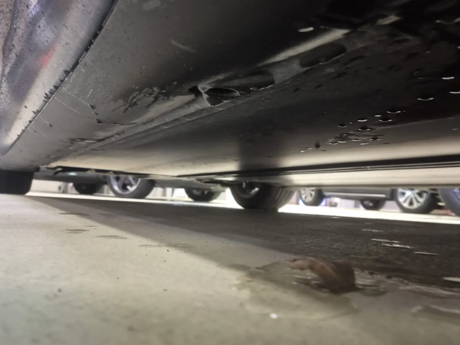 Undercarriage - Passenger Photo