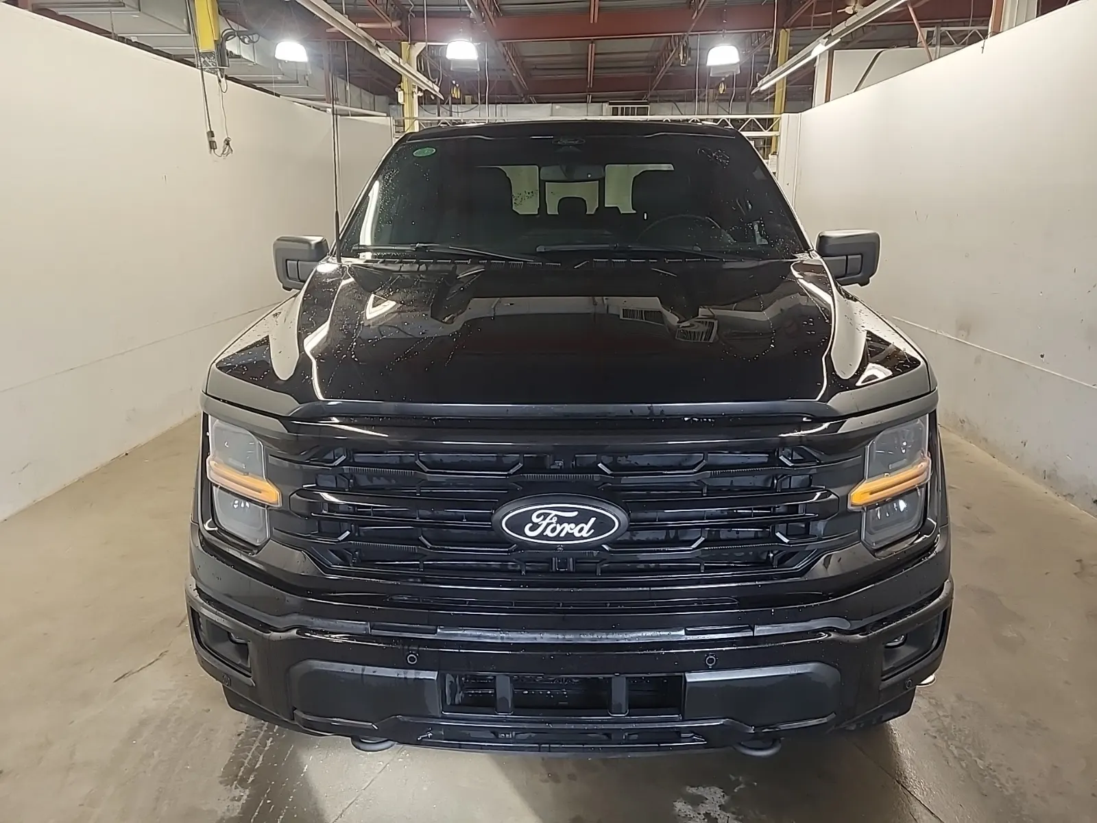 Full Front Photo