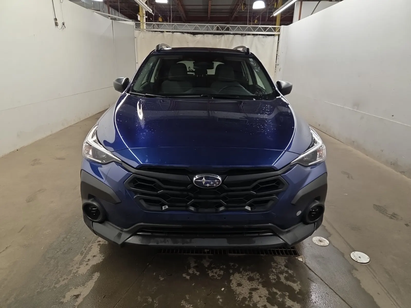 Full Front Photo