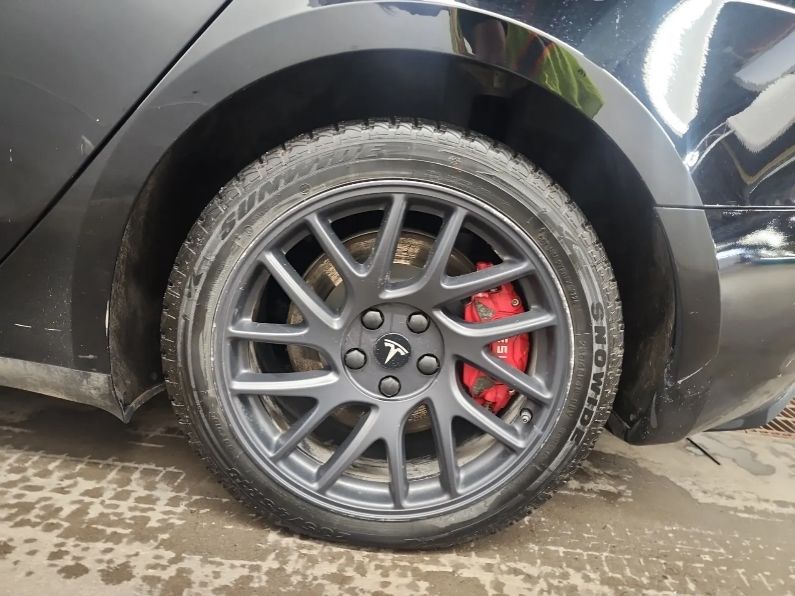 Left Rear Wheel/Tire Photo