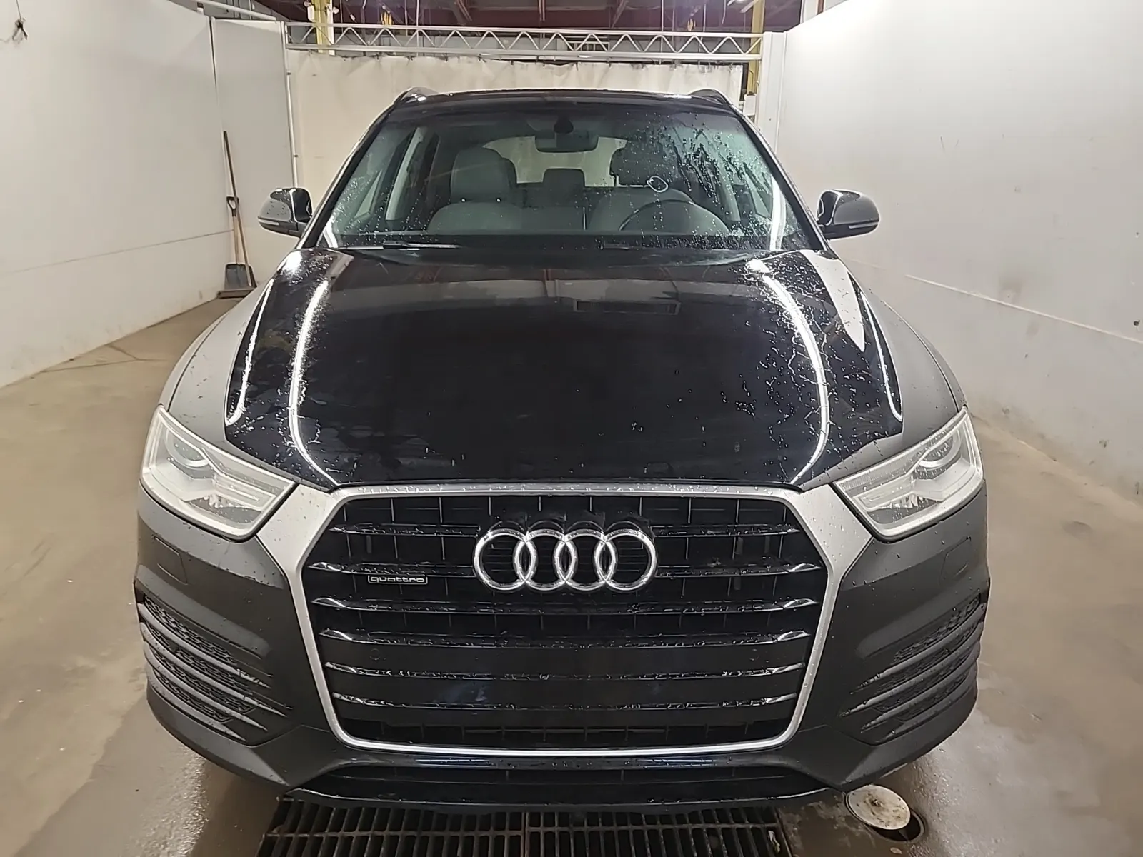 Full Front Photo