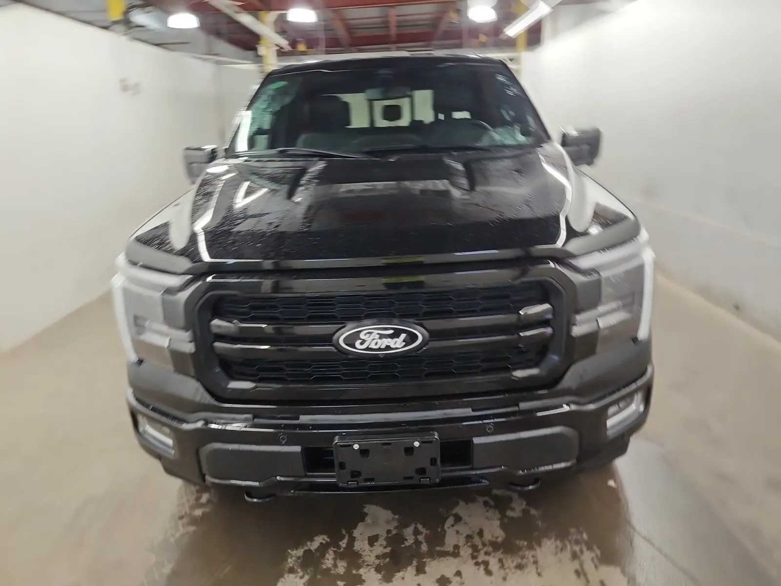Full Front Photo