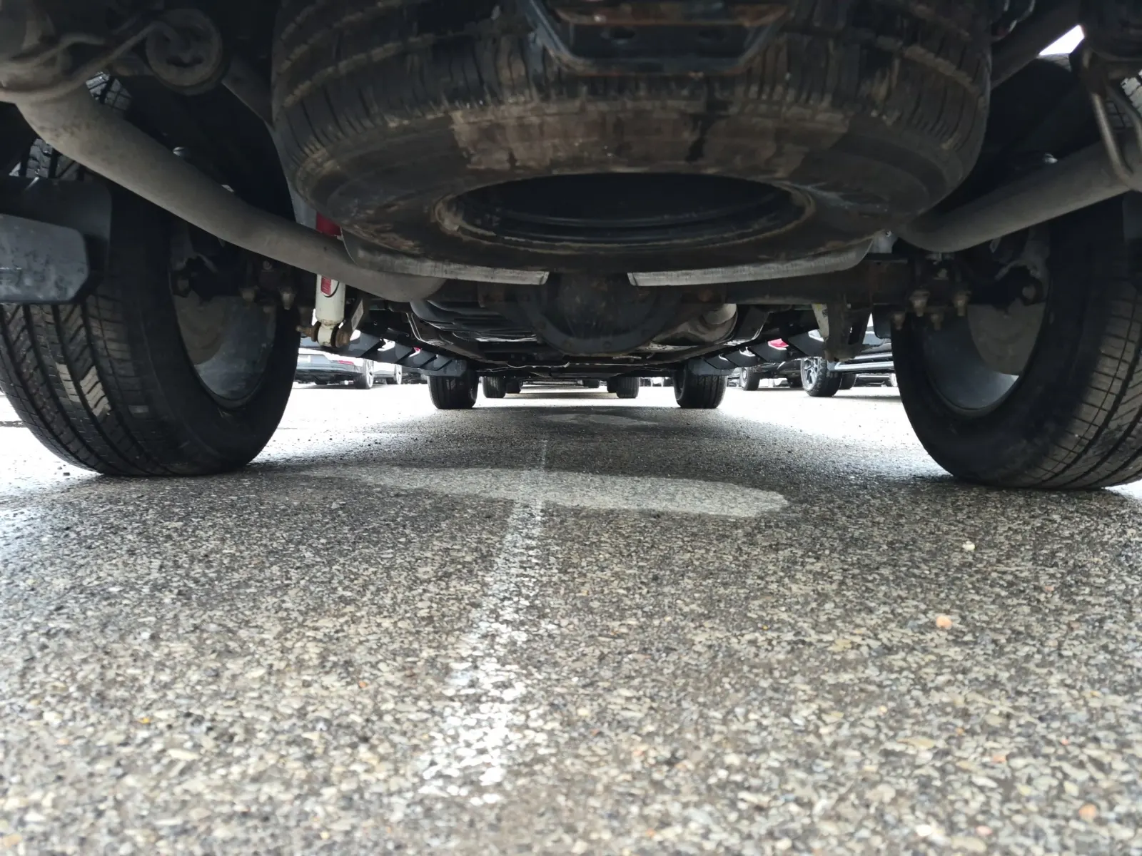 Undercarriage - Rear Photo
