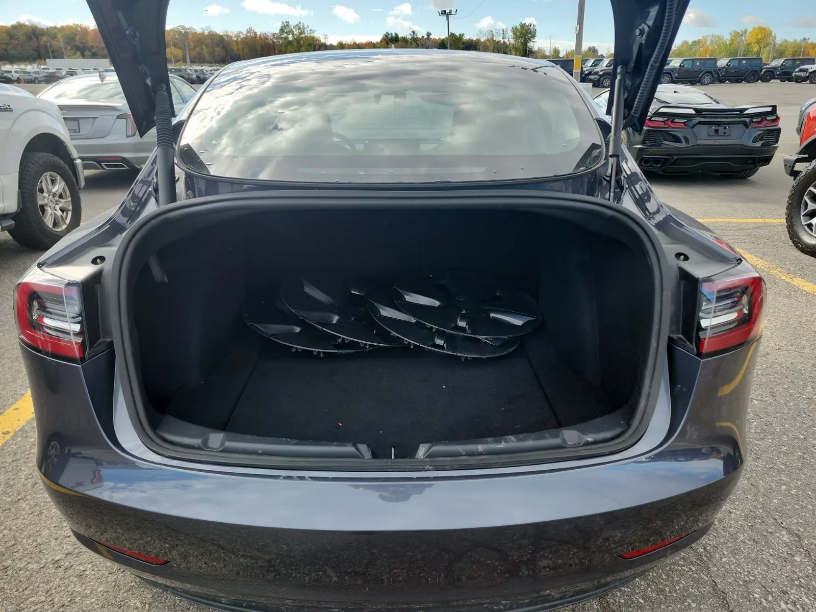 Cargo Area Photo
