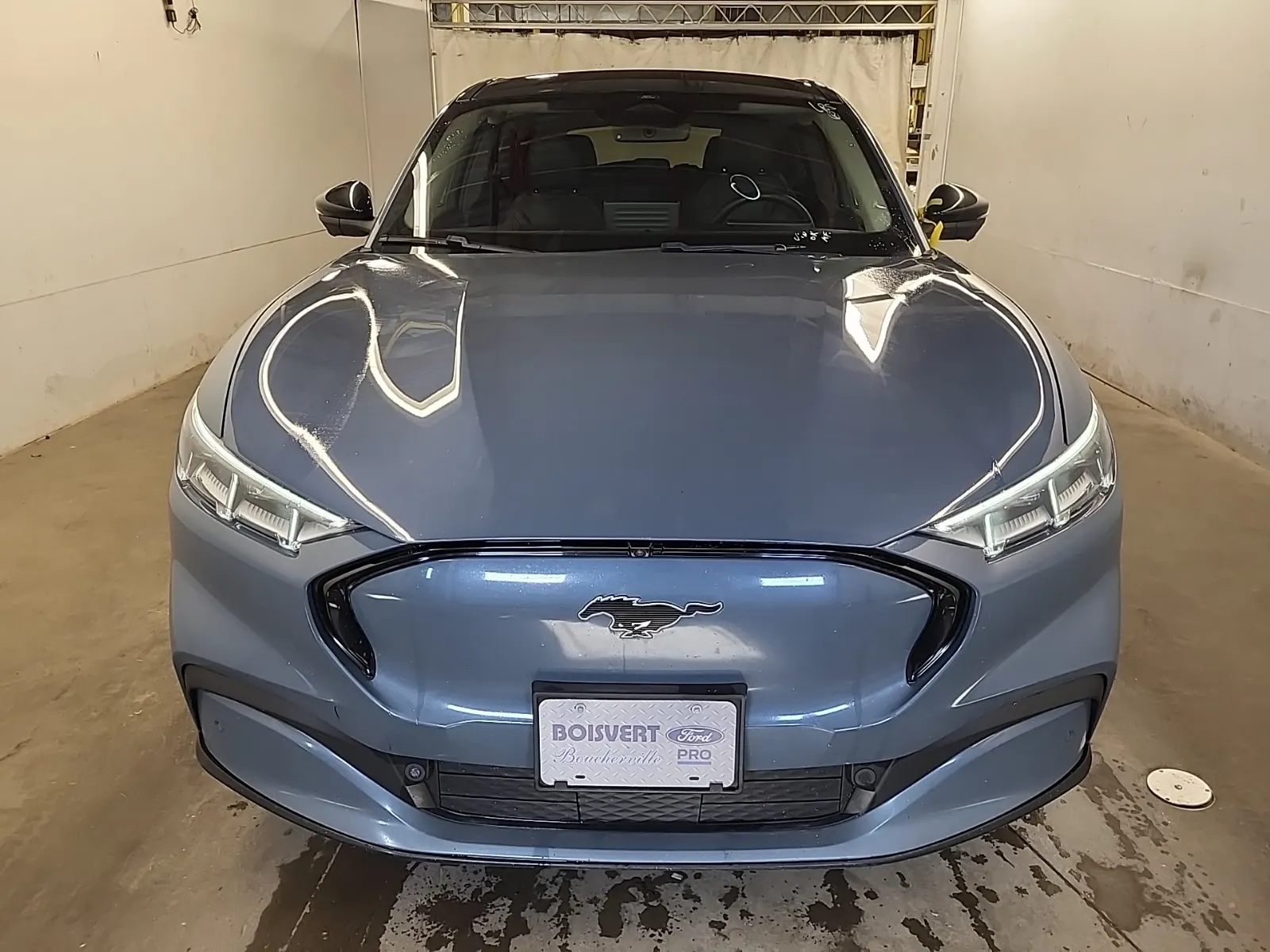 Full Front Photo