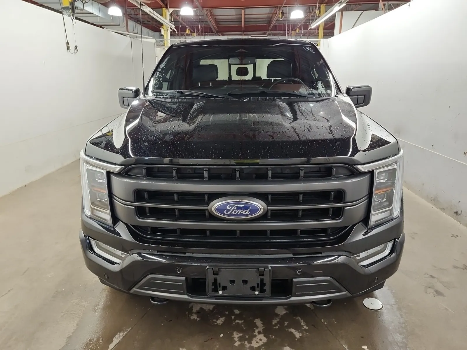 Full Front Photo