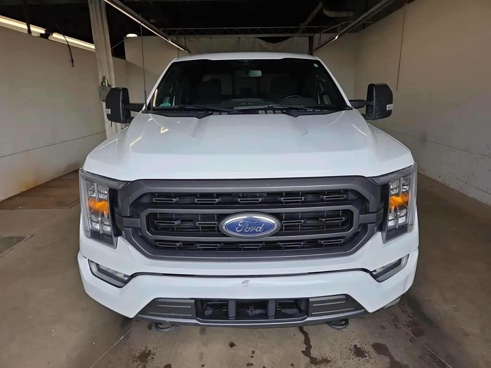 Full Front Photo