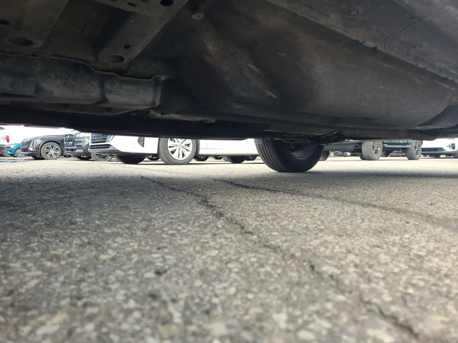 Undercarriage - Driver Photo