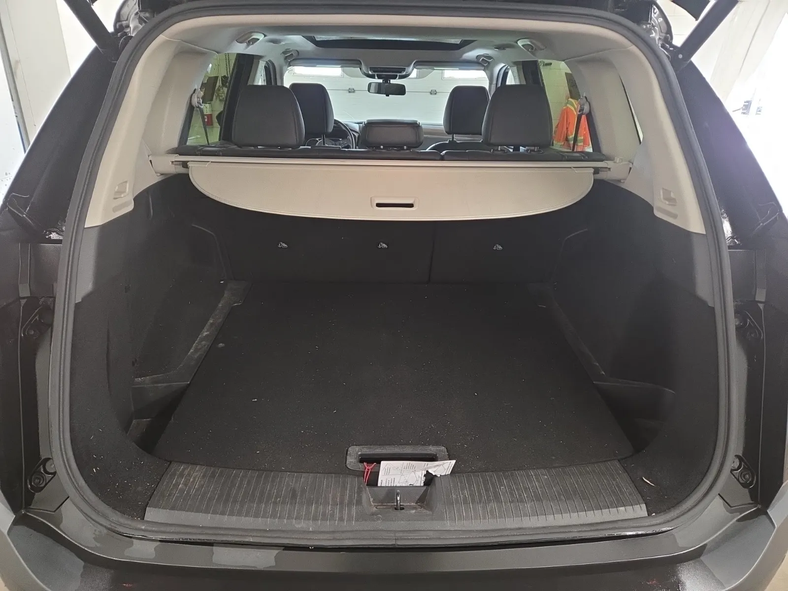 Cargo Area Photo