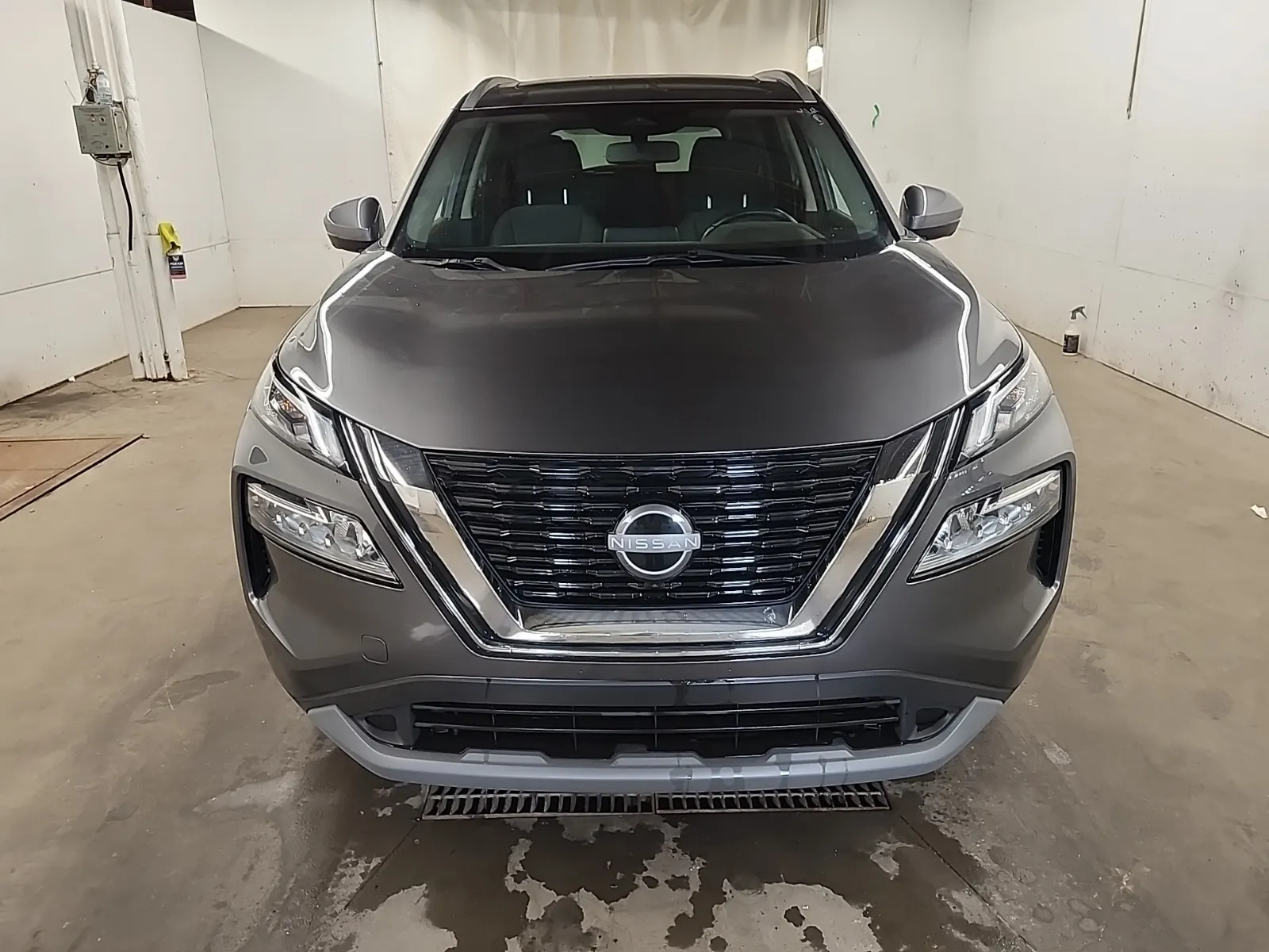 Full Front Photo