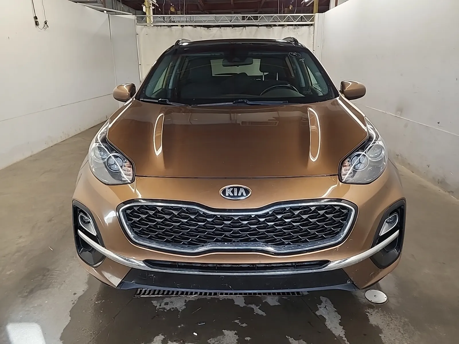 Full Front Photo
