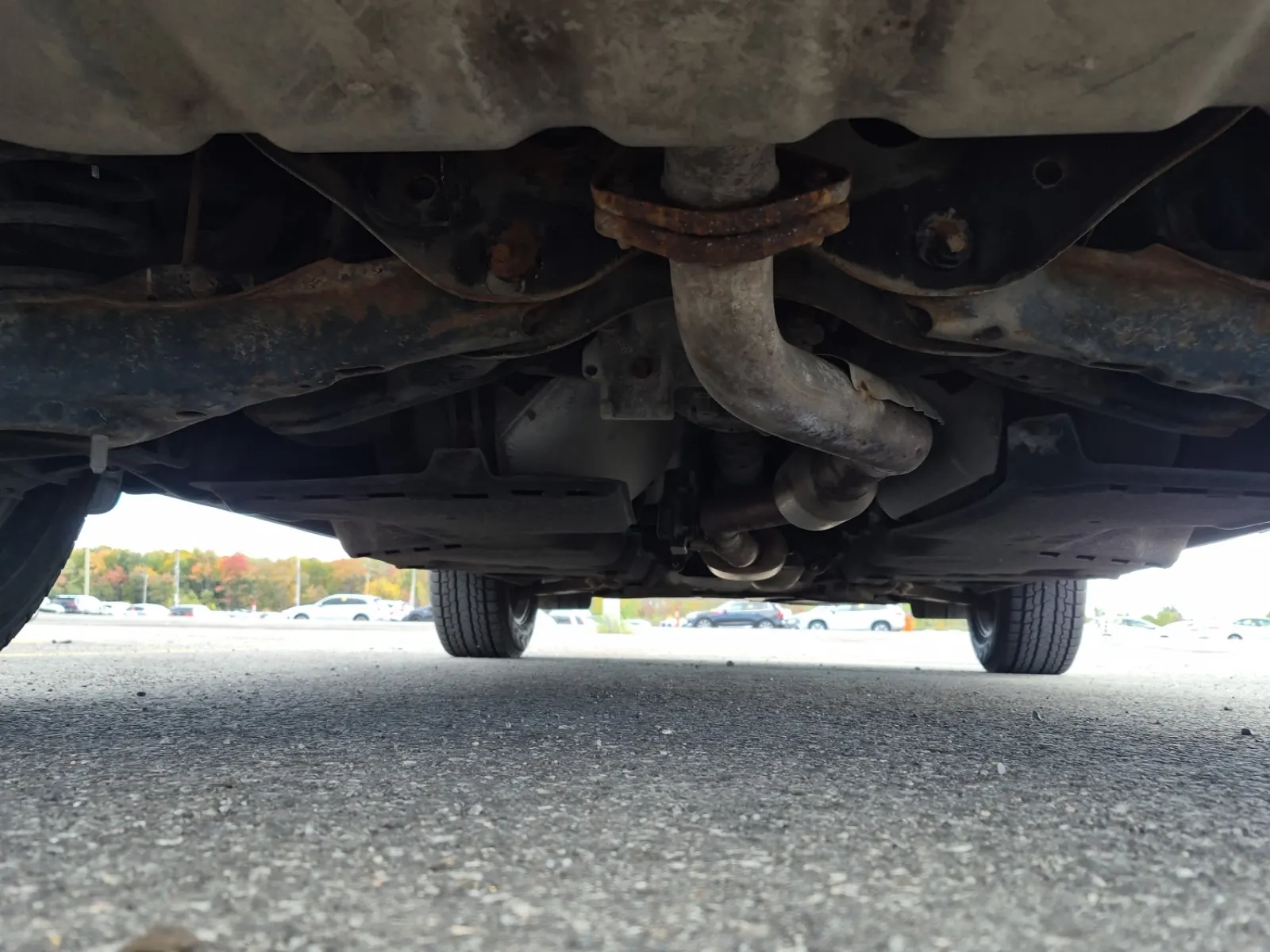 Undercarriage - Rear Photo