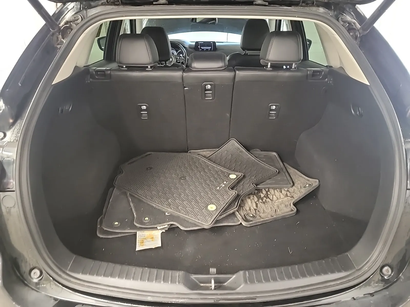 Cargo Area Photo