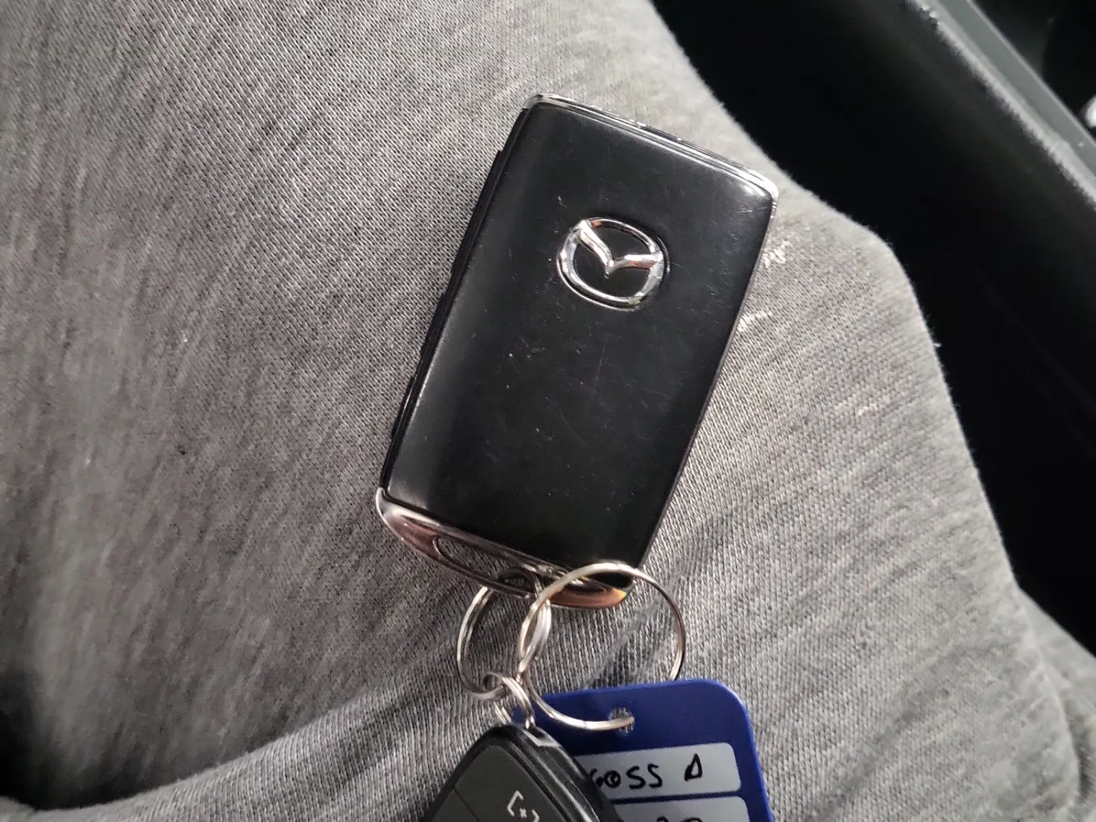 Keys/Fobs/Manual Photo