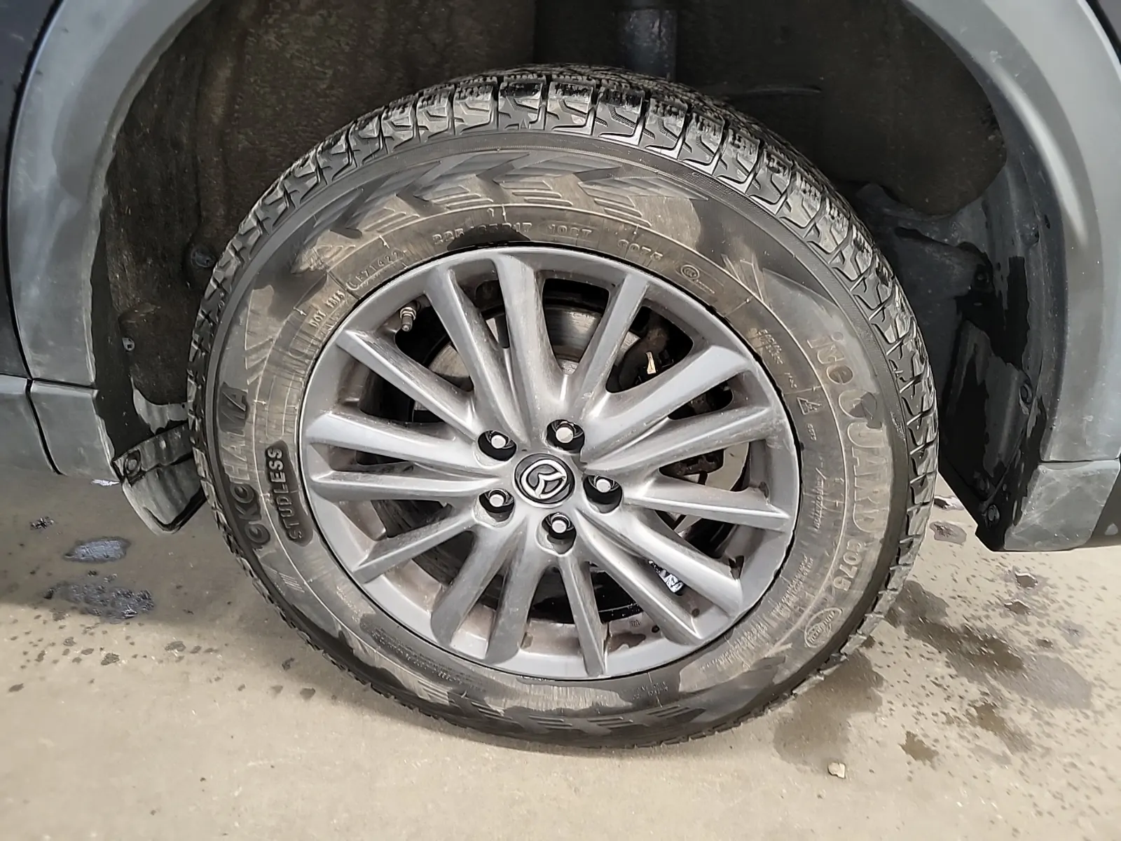 Left Rear Wheel/Tire Photo