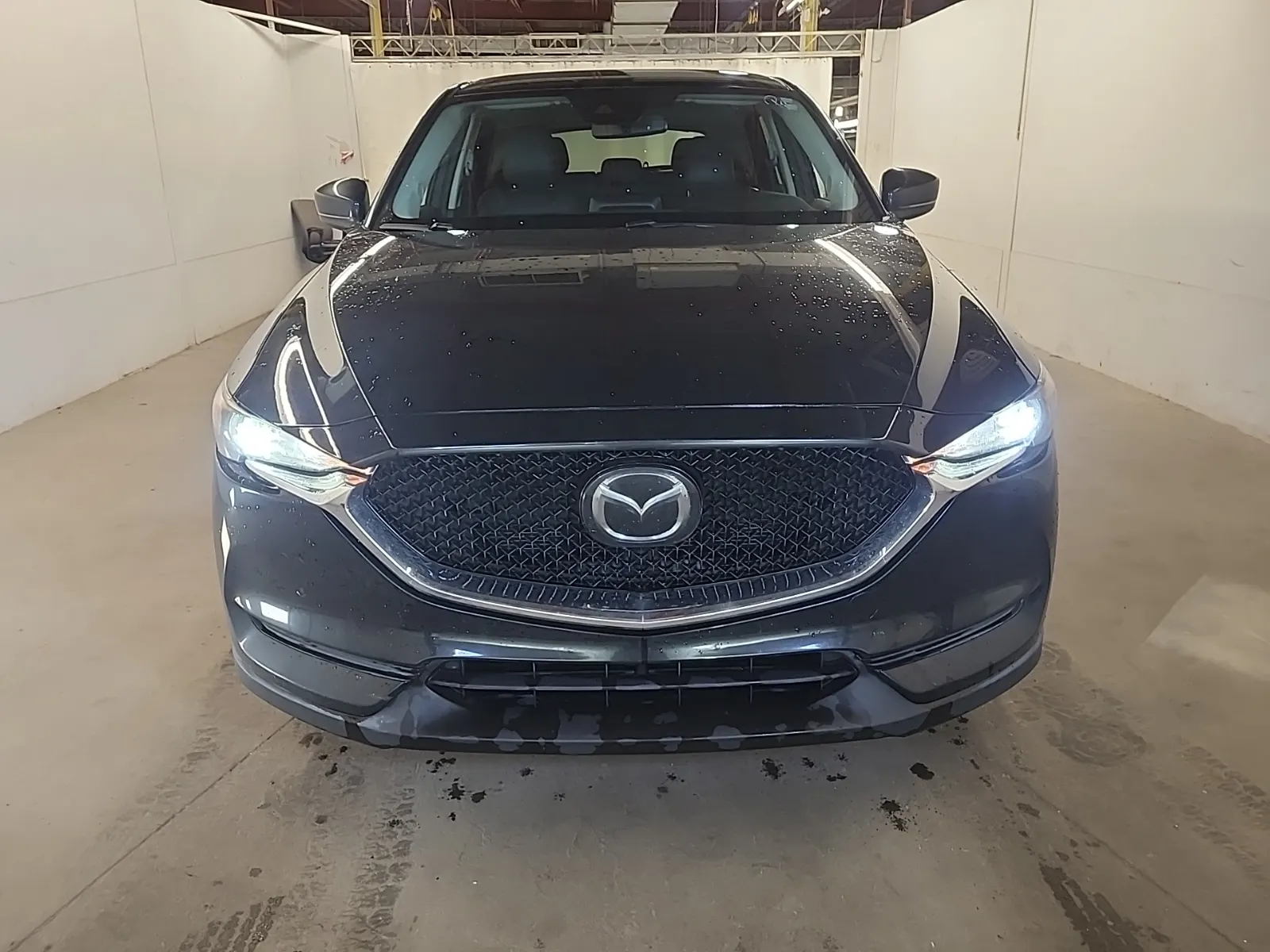 Full Front Photo