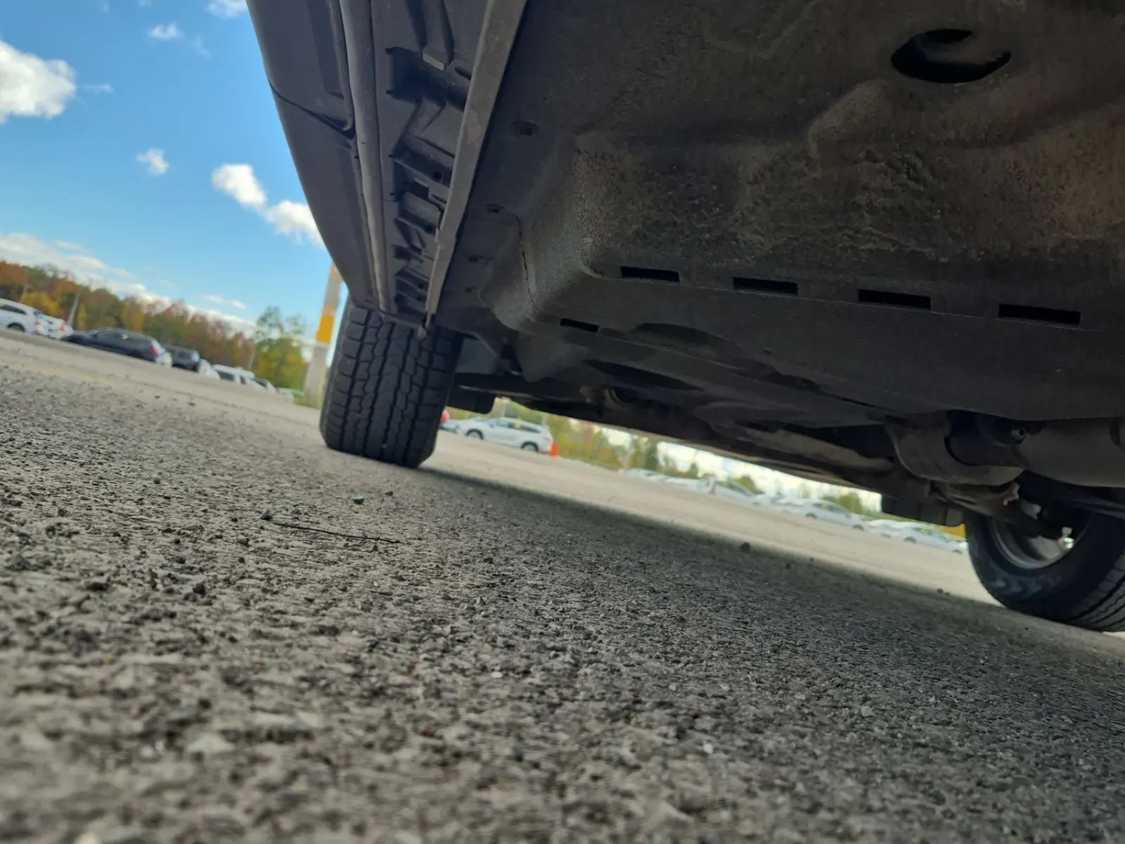 Undercarriage - Driver Photo