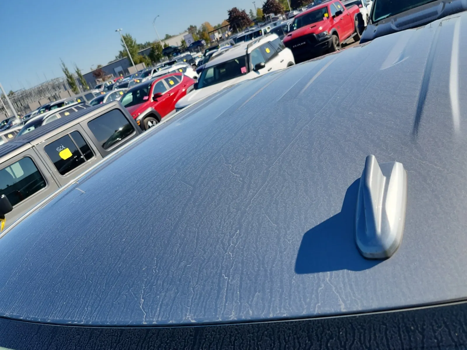 Exterior Roof Photo