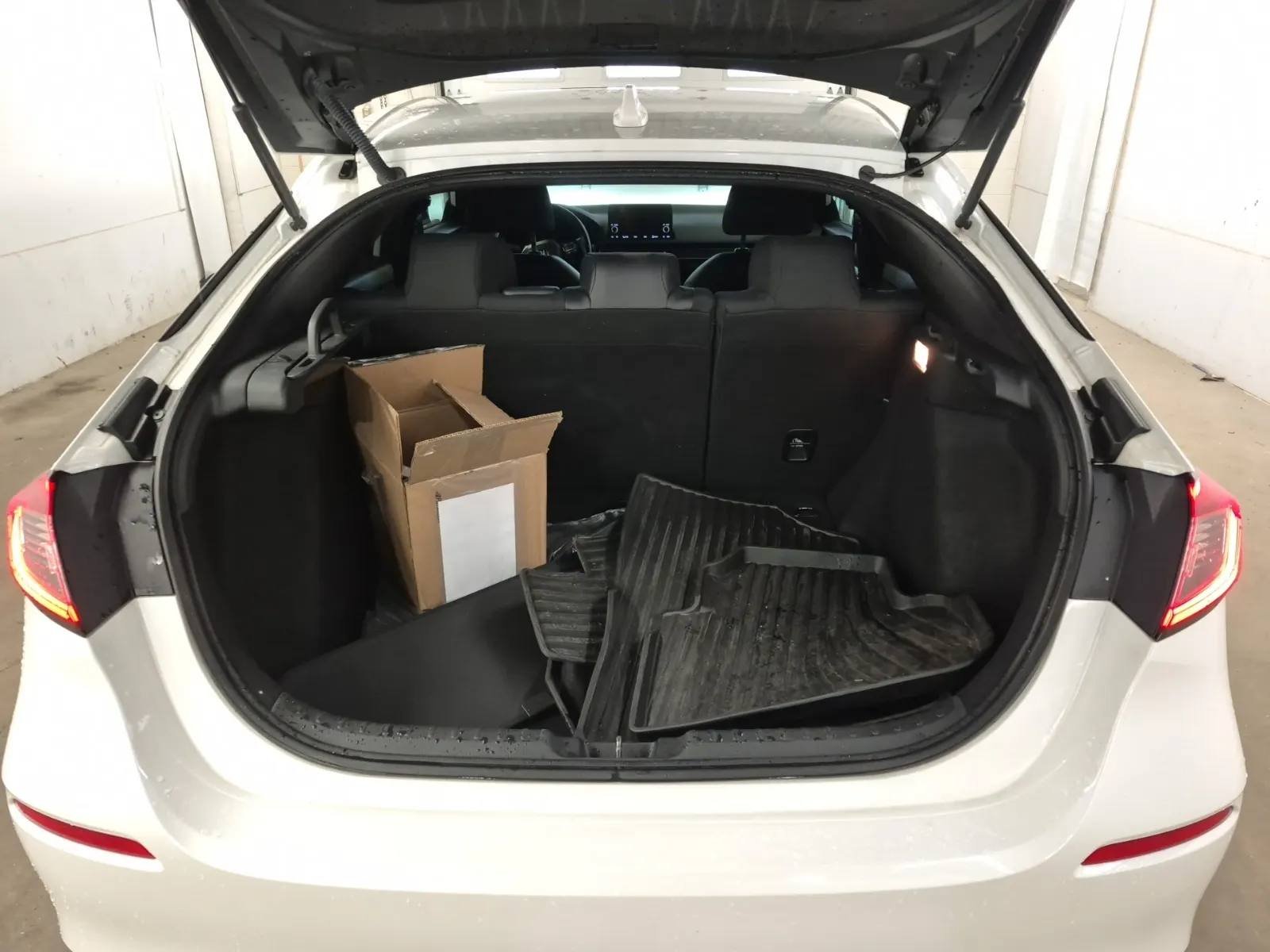Cargo Area Photo