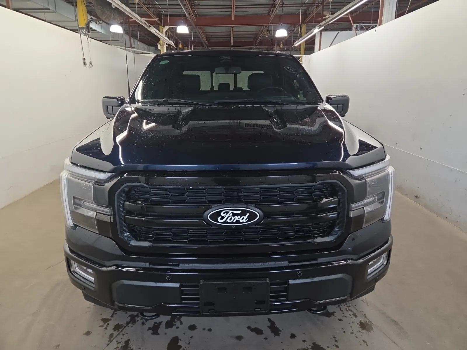 Full Front Photo