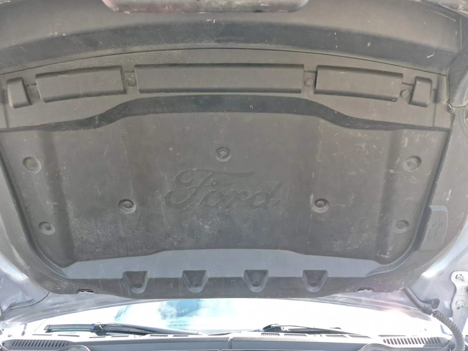 Emission Sticker Photo