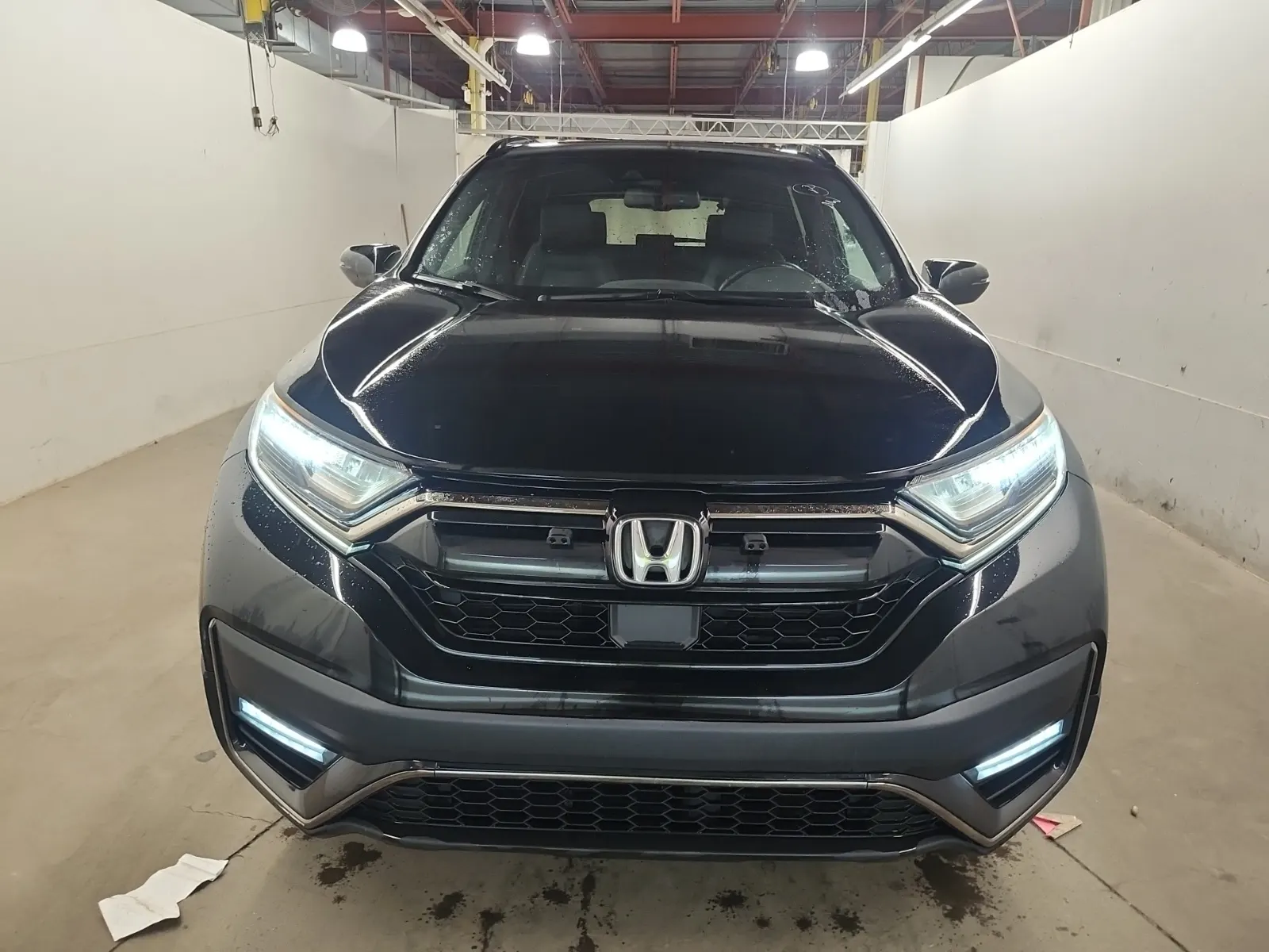 Full Front Photo